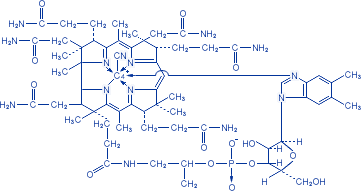 Описание: http://www.vitamini.ru/img/formulas/vit_b12-3.gif