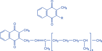 Описание: http://www.vitamini.ru/img/formulas/vit_k1-4.gif